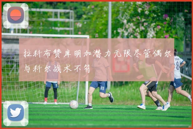 拉科布赞库明加潜力无限尽管偶尔与科尔战术不符